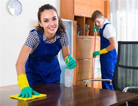 How to Choose the Best Mascot Cleaning Services for Your Business